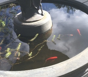 fountain2