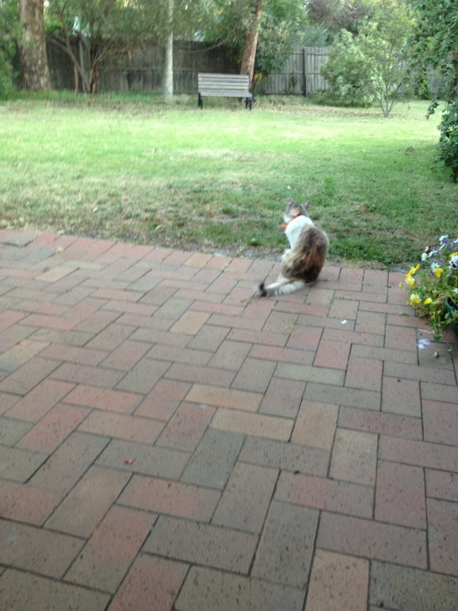 lawn2012
