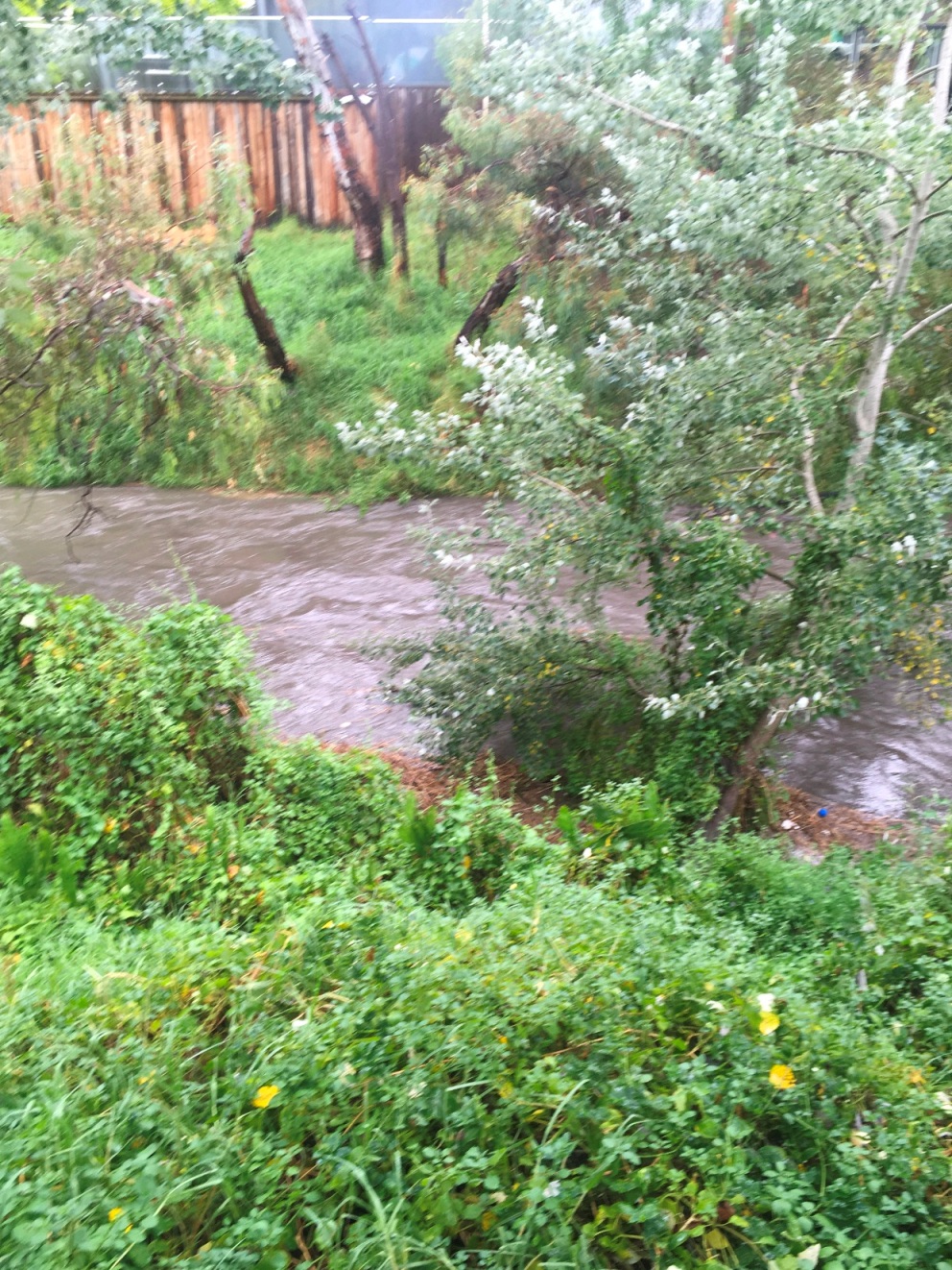 Full of Water